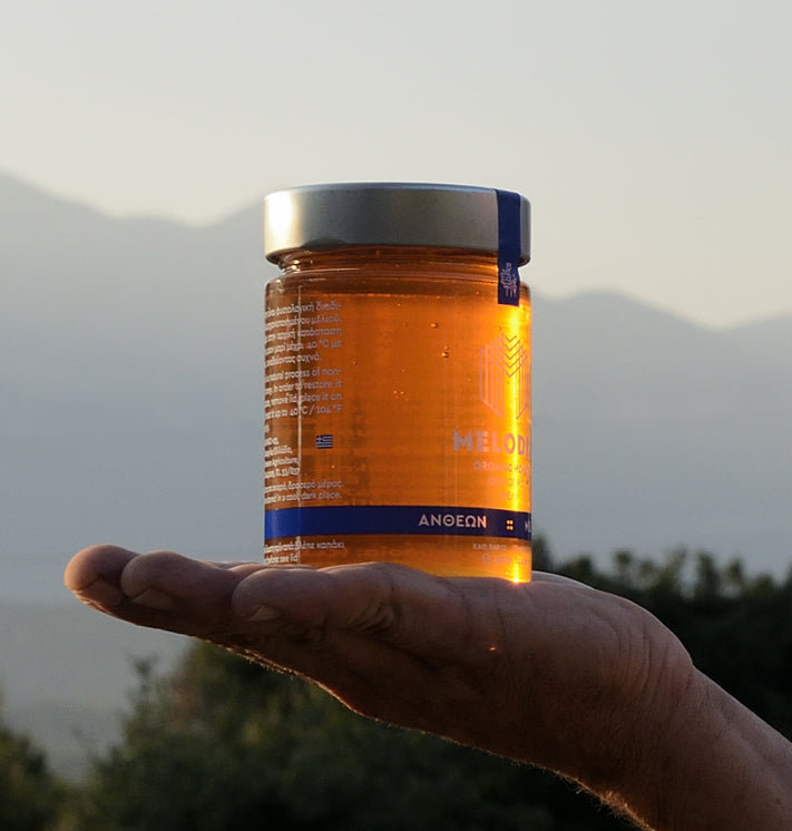 Melodia Bio Blütennhonig 260gr